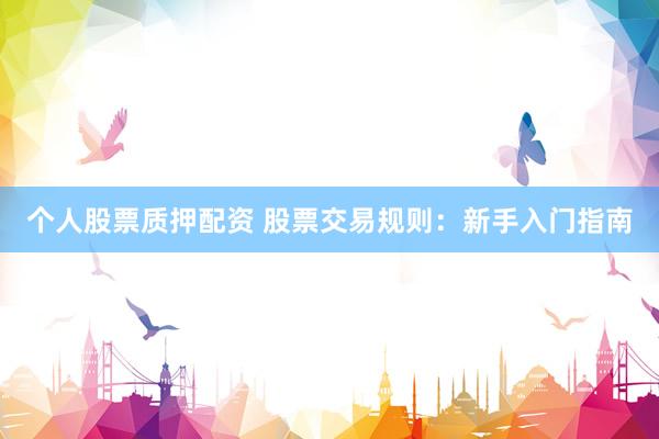 个人股票质押配资 股票交易规则：新手入门指南