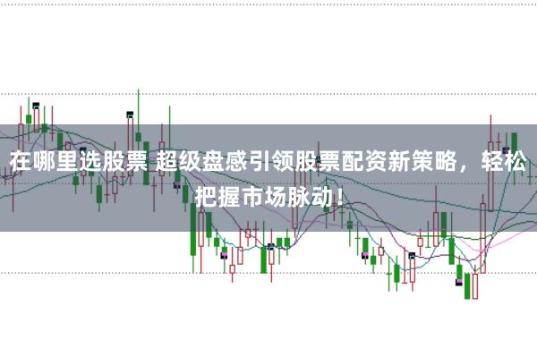 在哪里选股票 超级盘感引领股票配资新策略，轻松把握市场脉动！