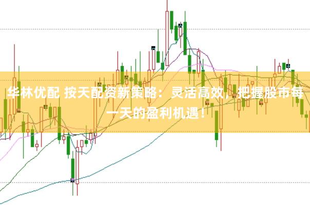 华林优配 按天配资新策略：灵活高效，把握股市每一天的盈利机遇！