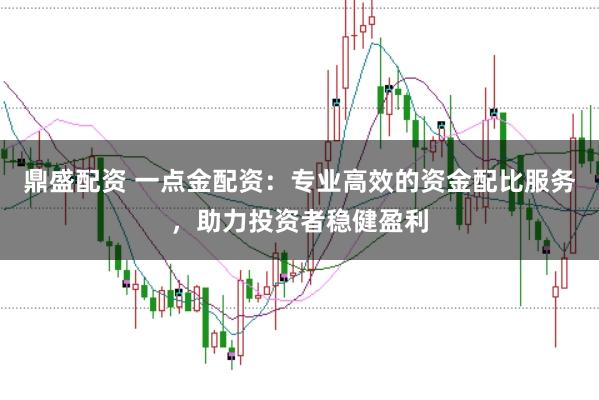 鼎盛配资 一点金配资：专业高效的资金配比服务，助力投资者稳健盈利