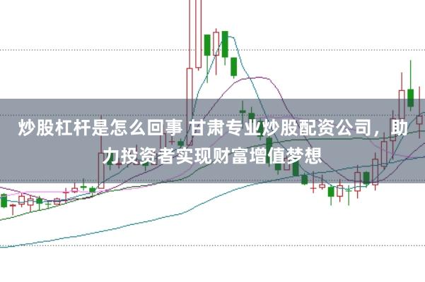 炒股杠杆是怎么回事 甘肃专业炒股配资公司，助力投资者实现财富增值梦想
