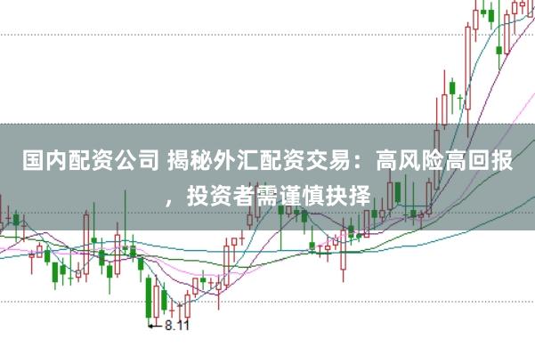 国内配资公司 揭秘外汇配资交易：高风险高回报，投资者需谨慎抉择