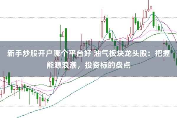 新手炒股开户哪个平台好 油气板块龙头股：把握能源浪潮，投资标的盘点