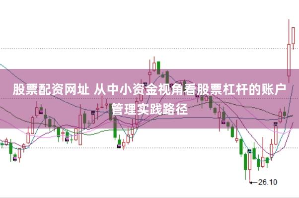 股票配资网址 从中小资金视角看股票杠杆的账户管理实践路径