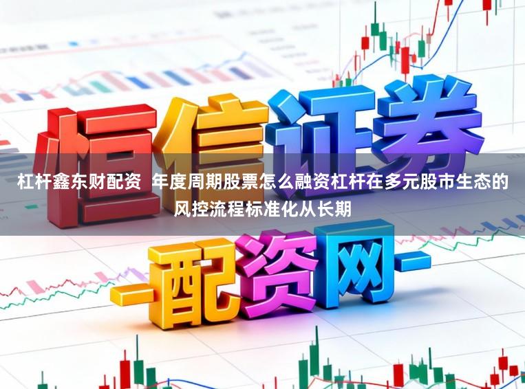 杠杆鑫东财配资  年度周期股票怎么融资杠杆在多元股市生态的风控流程标准化从长期