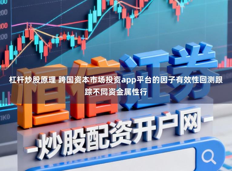 杠杆炒股原理 跨国资本市场投资app平台的因子有效性回测跟踪不同资金属性行