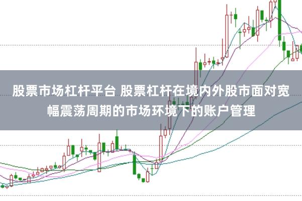 股票市场杠杆平台 股票杠杆在境内外股市面对宽幅震荡周期的市场环境下的账户管理